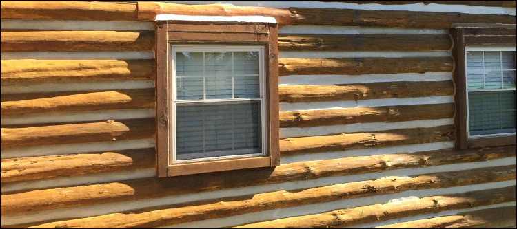 Log Home Whole Log Replacement  Covington City, Virginia