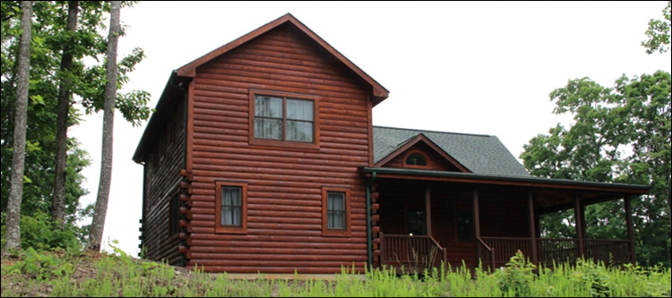 Professional Log Home Borate Application  Covington City, Virginia